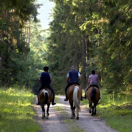 Glen Affric Holiday Park Cannich Εξωτερικό φωτογραφία